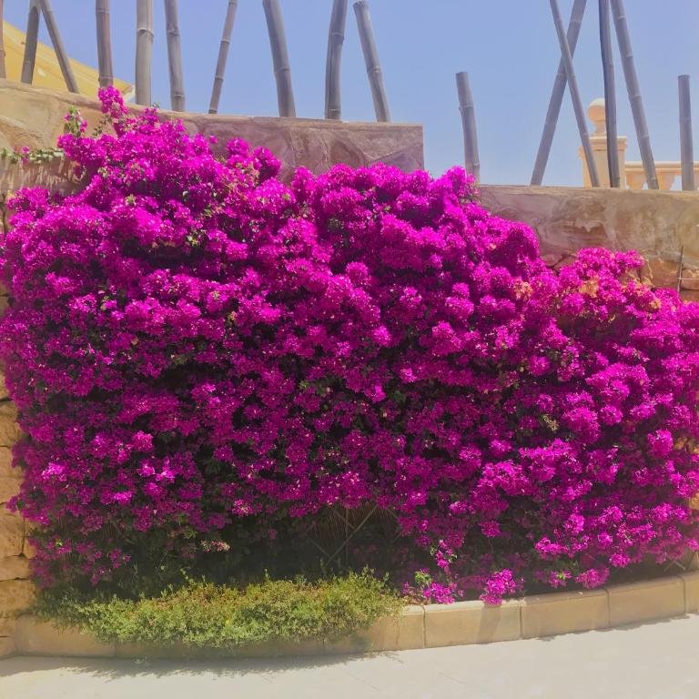 Villa with panoramic sea views - Villa con vistas al mar - 24