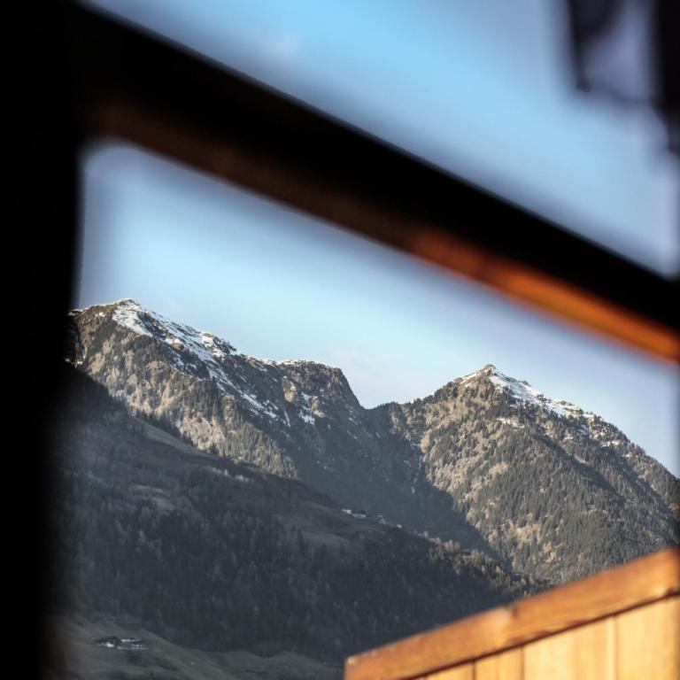Strickerhof Appartment 1 - Appartamento Superior con 1 Camera da Letto e Balcone - 16