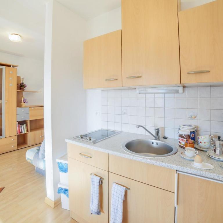 Strickerhof Appartment 1 - Appartamento Superior con 1 Camera da Letto e Balcone - 5