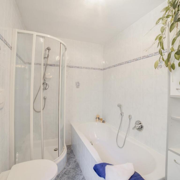 Strickerhof Appartment 1 - Appartamento Superior con 1 Camera da Letto e Balcone - 10