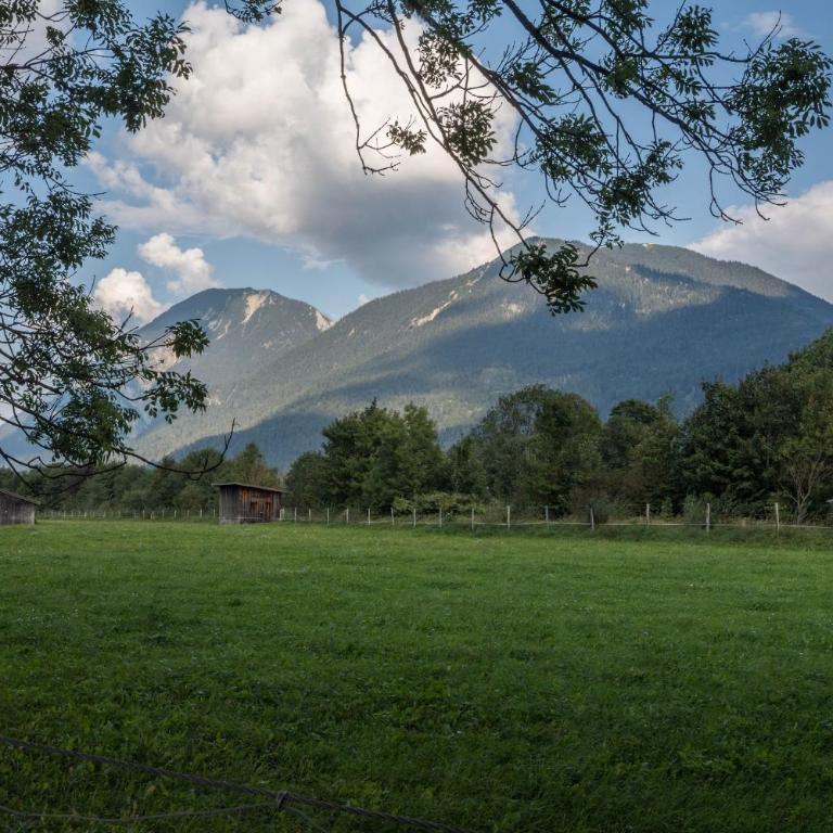 Ferienwohnungen Weiß - Monolocale con Vista Montagna - 8