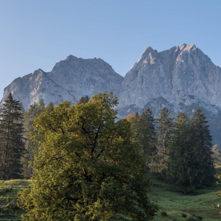 Ferienwohnungen Weiß - Monolocale con Vista Montagna - 10