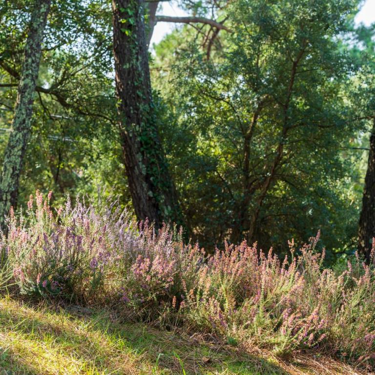 Villa proche du lac d'Hossegor - Vacation Home - 30