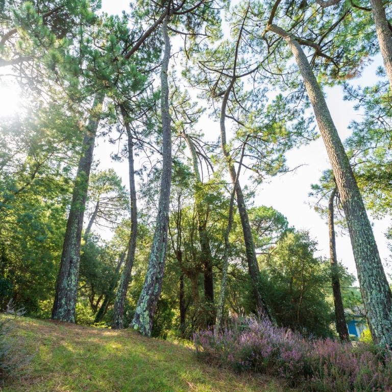 Villa proche du lac d'Hossegor - Vacation Home - 33