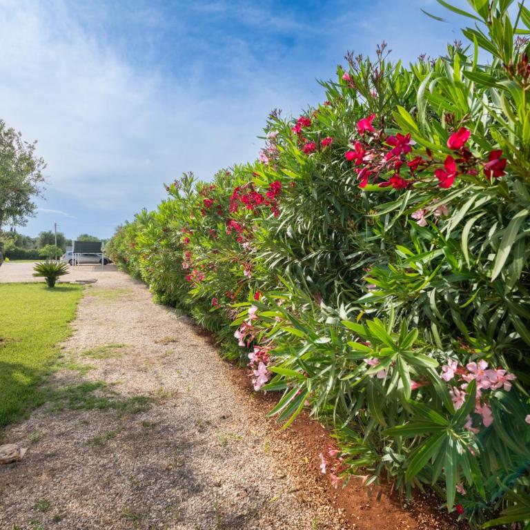 Villa Città Bianca - Villa con Vista Giardino - 28