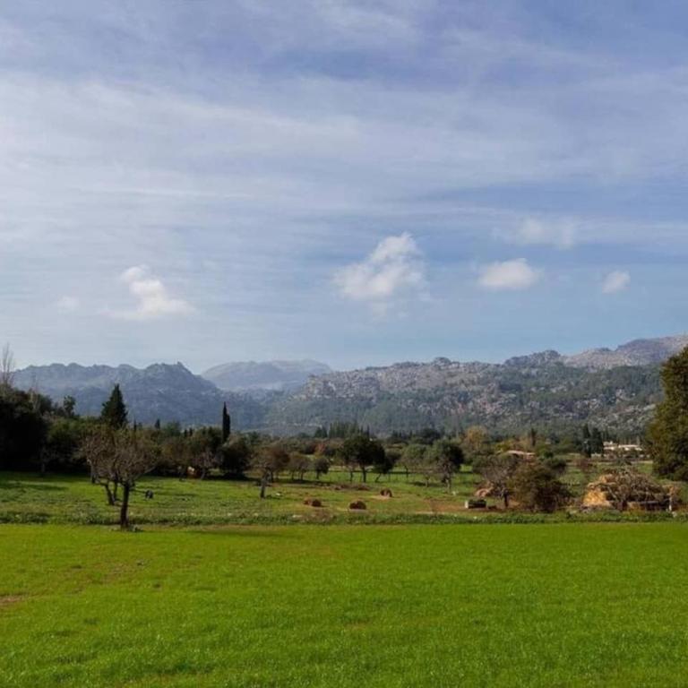 Plana Morro - Villa - 24