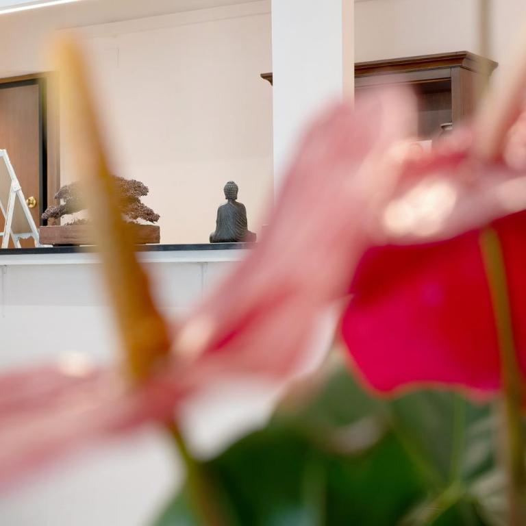 Ohana Bnb - Appartamento Superior con Vista Città - 4