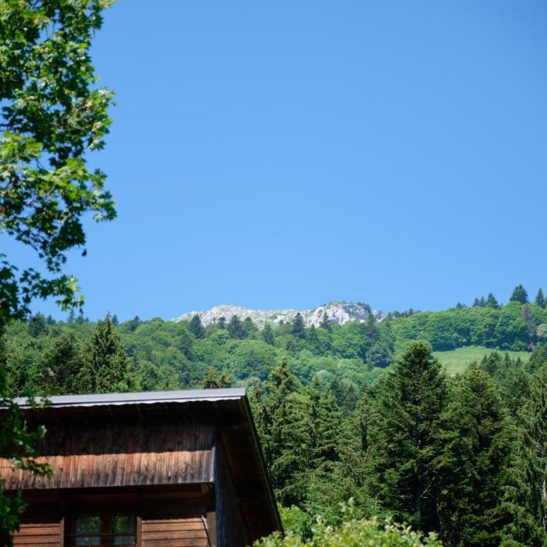 Chalet du Souillet - Chalet - 22