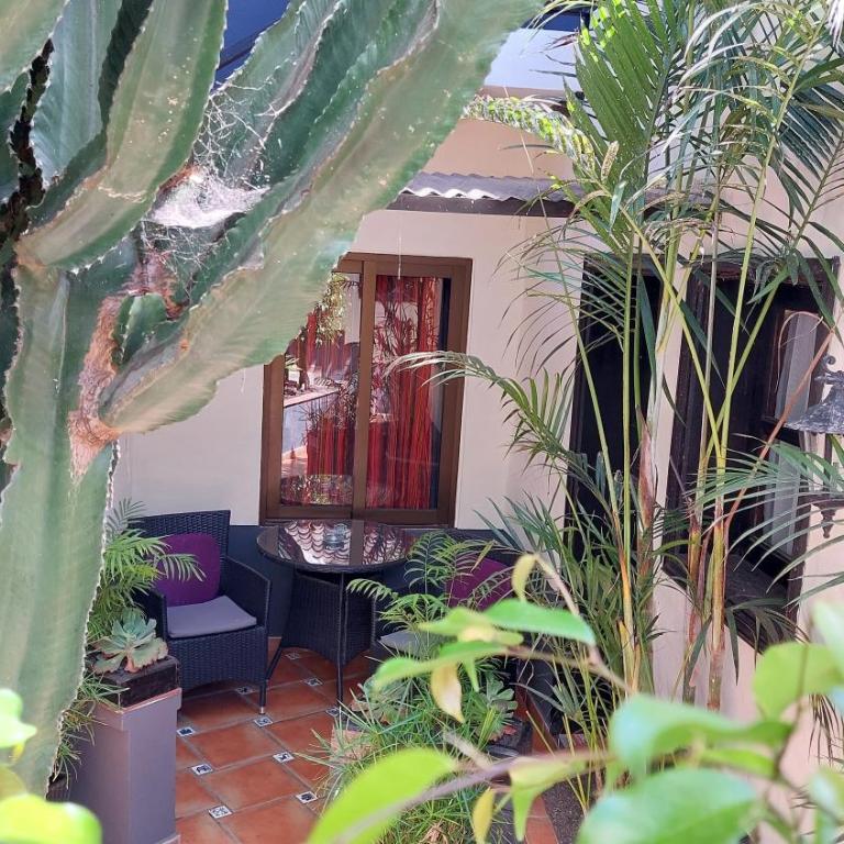 Aptos Monasterio de San Antonio 2 - Apartamento con terraza - 14