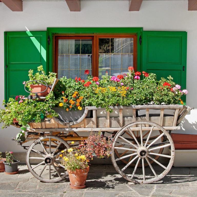 Ginepro Casa Vacanze - Two-Bedroom Deluxe Apartment with Garden View - 2