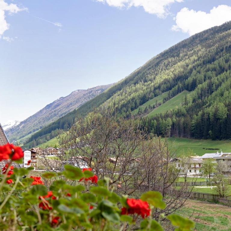 Klamperhaus-Hof - Appartamento Superior con 1 Camera da Letto e Balcone - 19