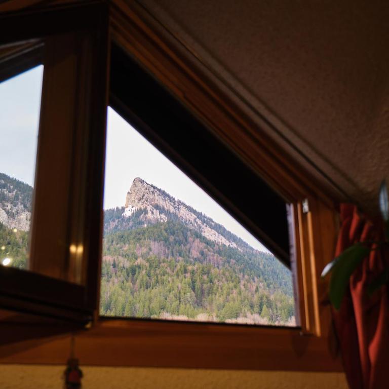 L'Edelweiss - Studio - Vue sur Montagne - 13