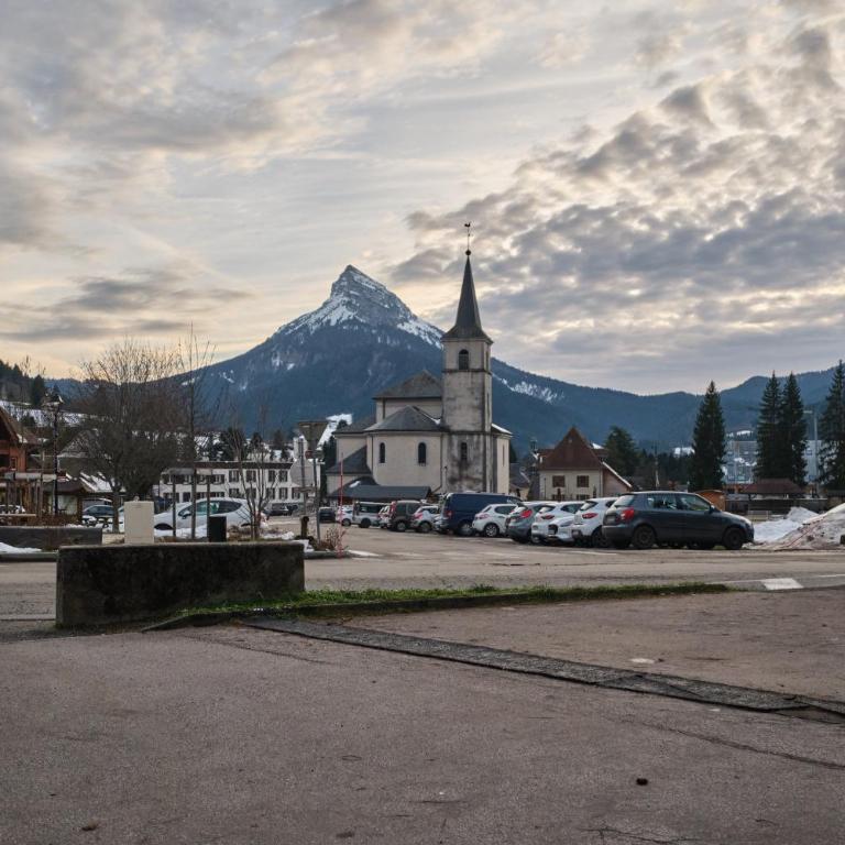 L'Edelweiss - Studio - Vue sur Montagne - 18
