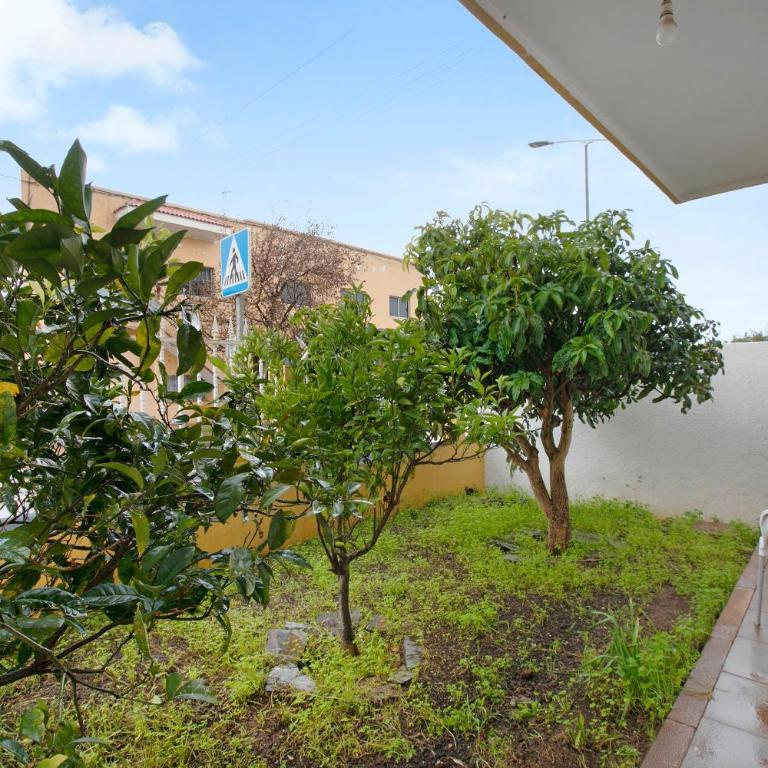 Estudio Mario - Apartamento de 1 dormitorio con vistas al jardín - 4