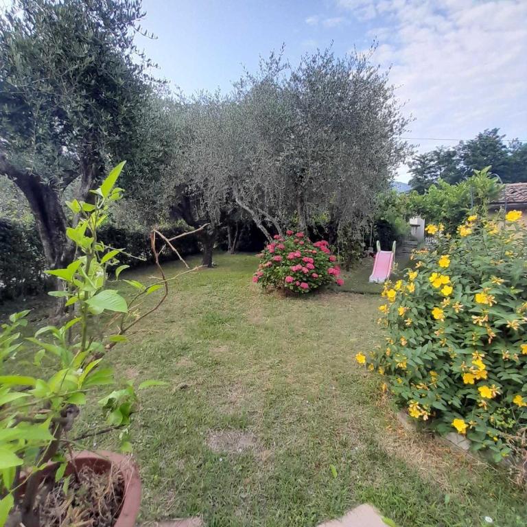 L'olivo - Casa con 2 Camere da Letto - 19