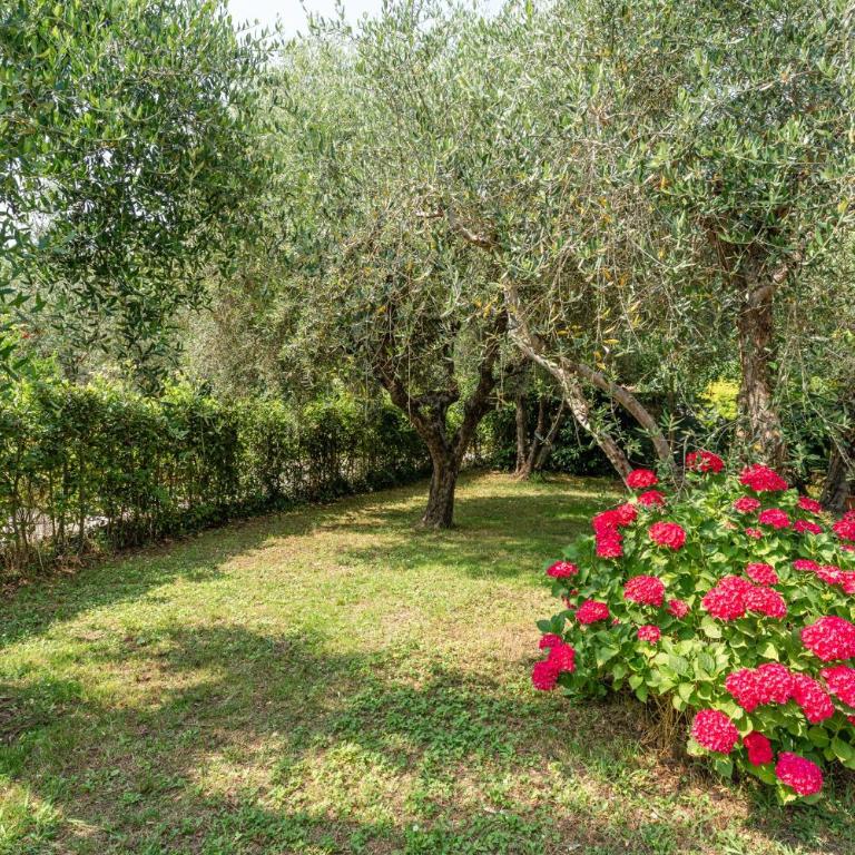 L'olivo - Casa con 2 Camere da Letto - 21