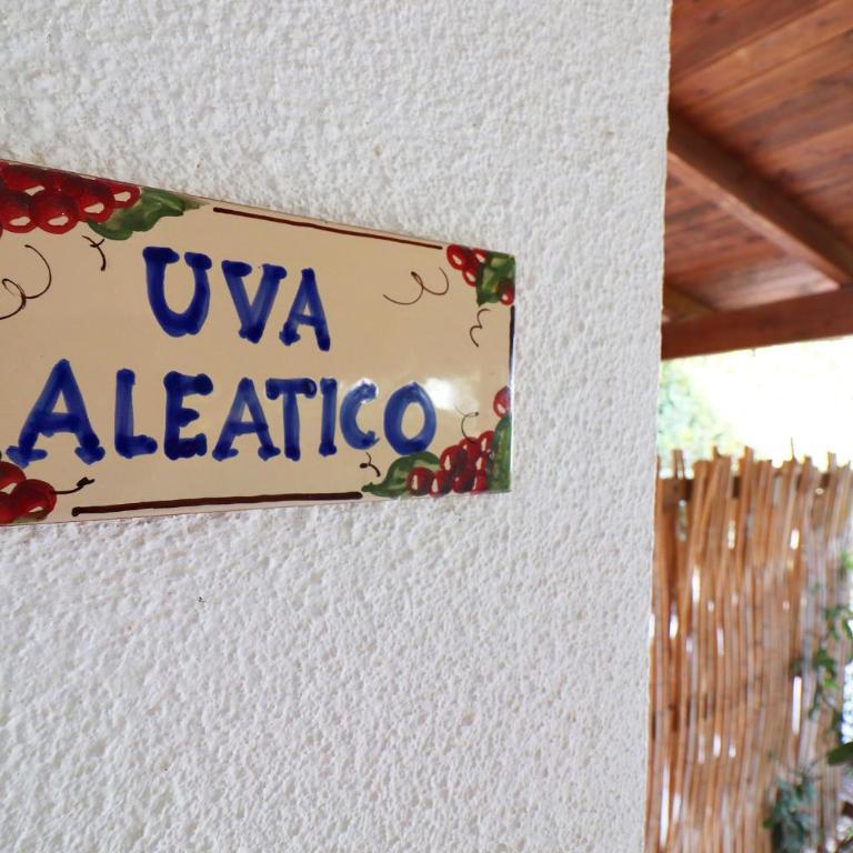 Casa Aleatico Torre Santo Stefano - Casa con 2 Camere da Letto - 31