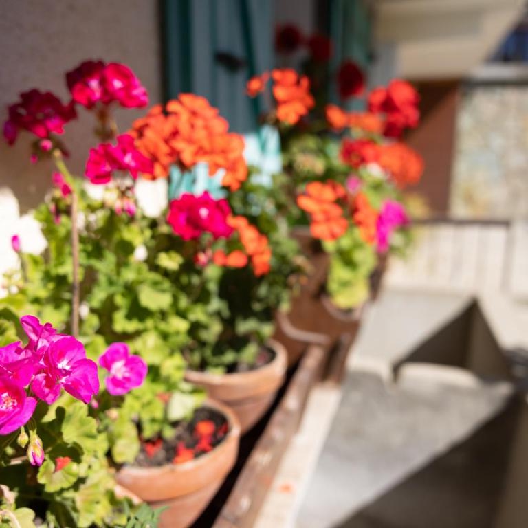 La rose des vents N 1 - Appartement 3 Chambres Premium avec Balcon - 5