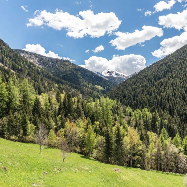 Casa Sicina Alberto - Deluxe-Apartment mit 2 Schlafzimmern und Gartenblick - 21