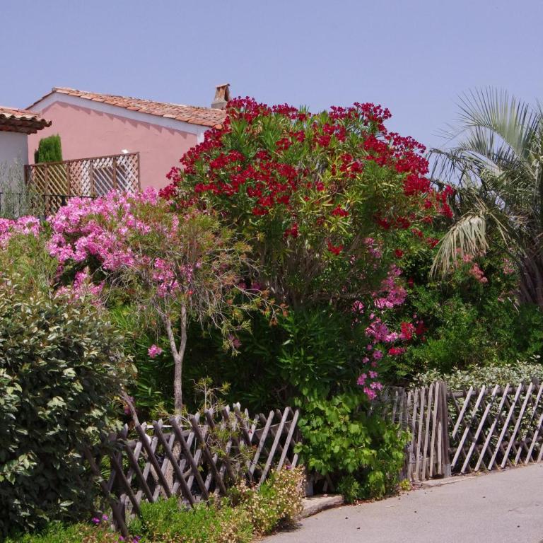 Villa Domaine du golf de Roquebrune - Villa - Vue sur Mer - 9