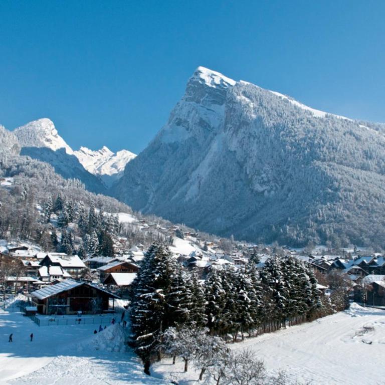 Au rêve savoyard 2 - 4 personnes - Studio avec Terrasse - 28