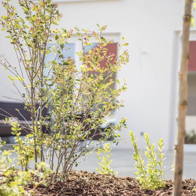 Ferienwohnung Häfele 1 - Deluxe-Apartment mit 2 Schlafzimmern und Gartenblick - 21