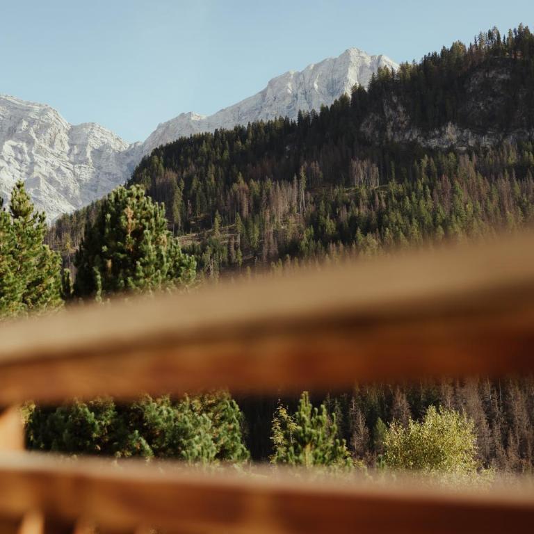 Chalet La Flüta Arnica - Deluxe-Apartment mit 2 Schlafzimmern und Gartenblick - 17