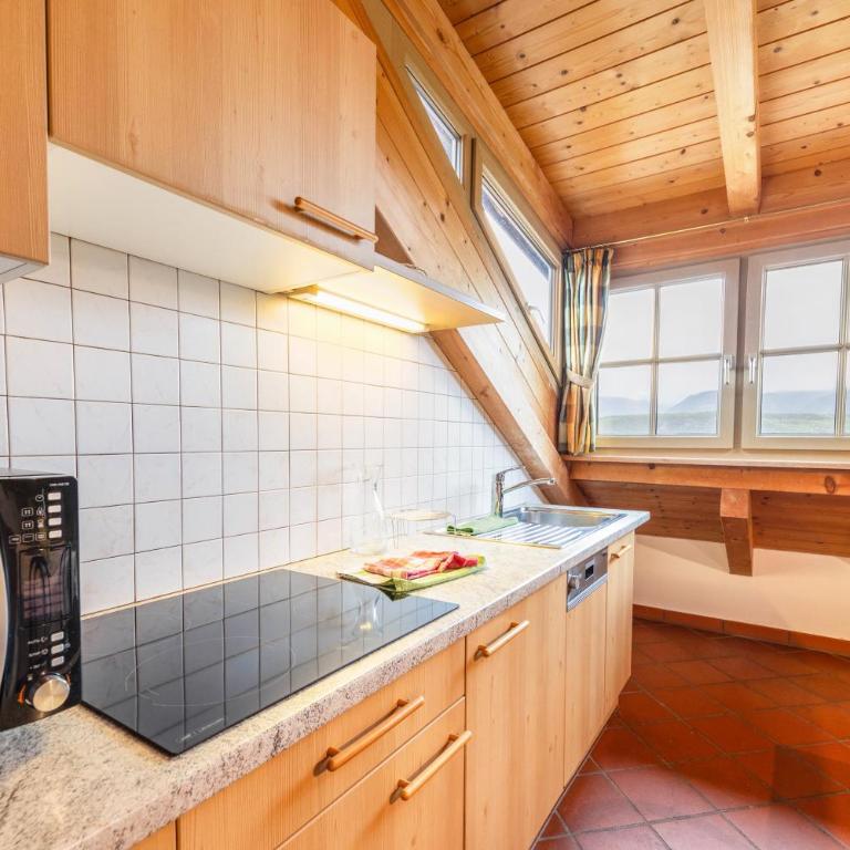 Weingut Lieselehof Apt Panorama - Two-Bedroom Deluxe Apartment with Garden View - 4