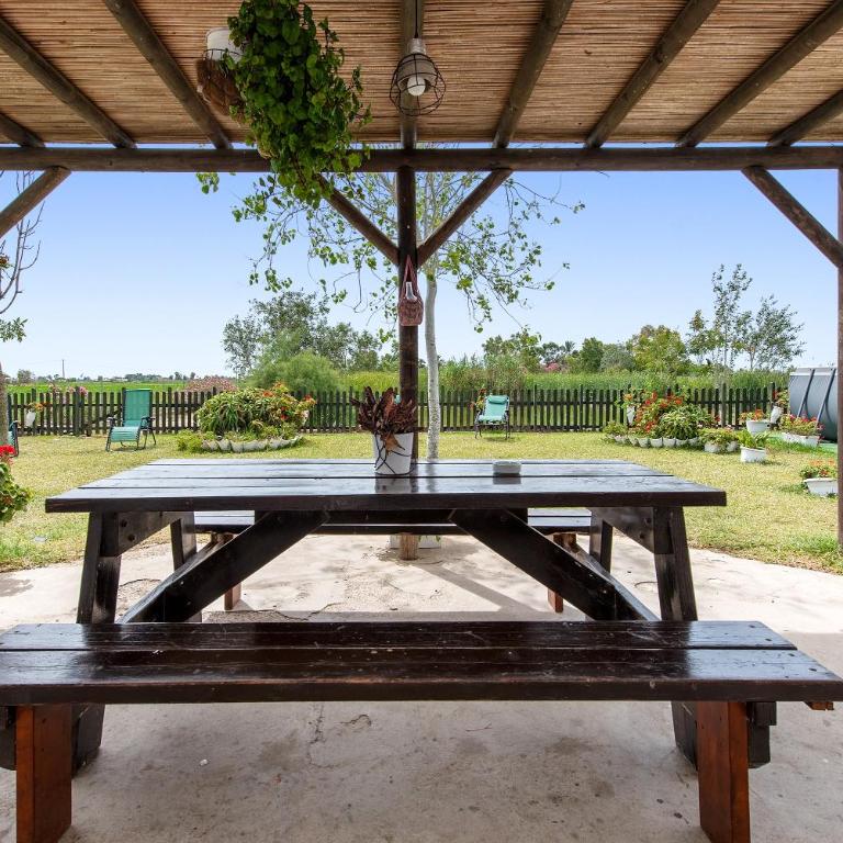 Barraca Gran - Apartment with Terrace - 23