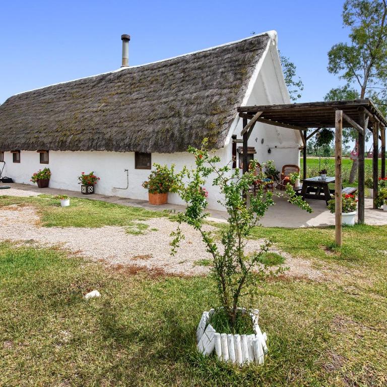 Barraca Gran - Apartment with Terrace - 26