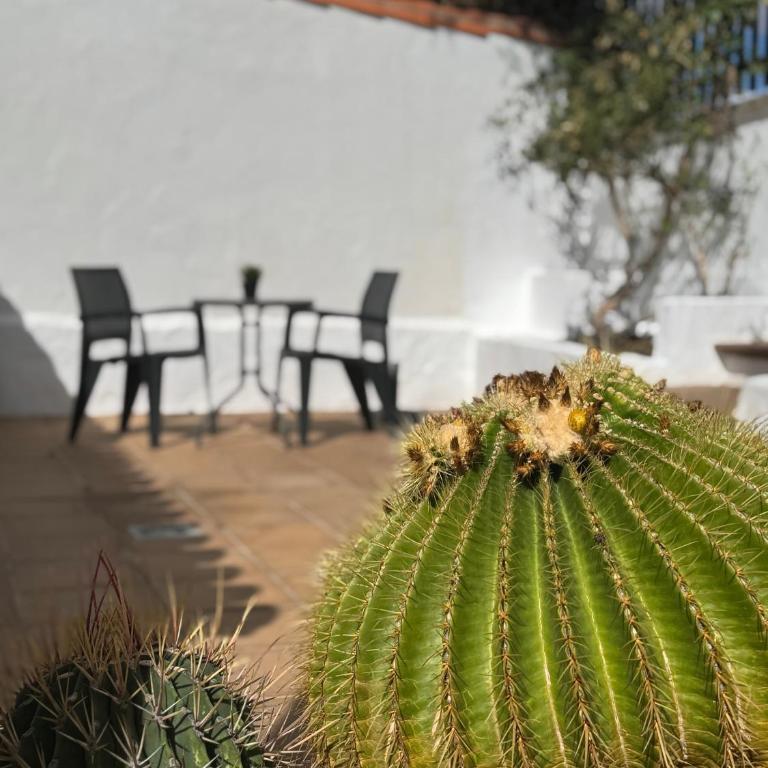 Los Porches k29 - Apartment with Terrace - 26