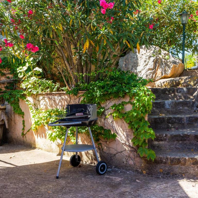 Individual Guesthouse Mallorca - Casa con 1 dormitorio - 25