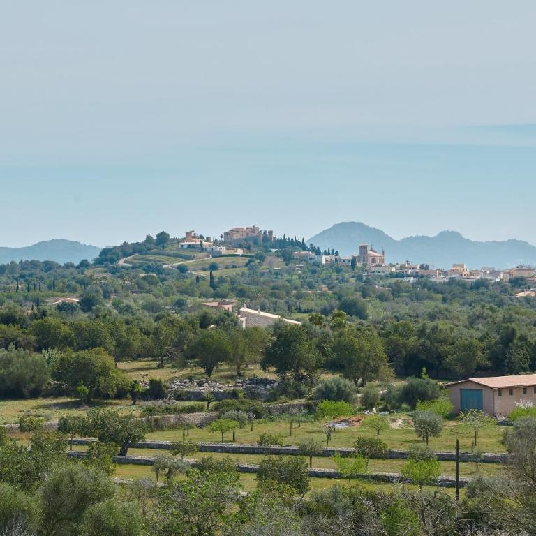 Son Sureda - Pablo - Villa - 3