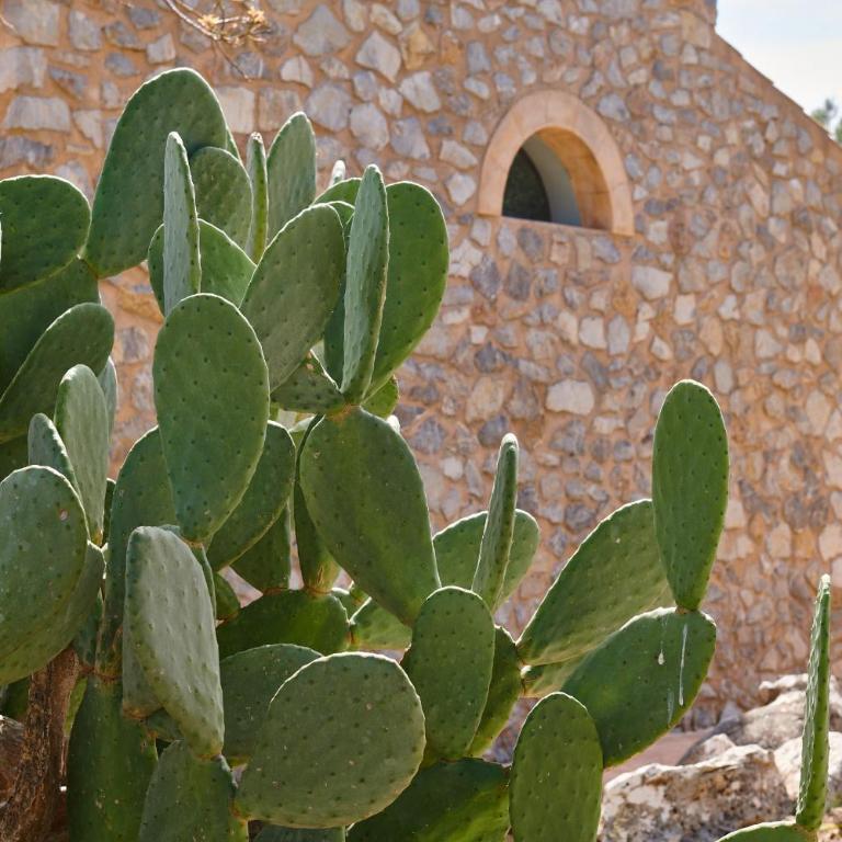 Son Sureda - Pablo - Villa - 27