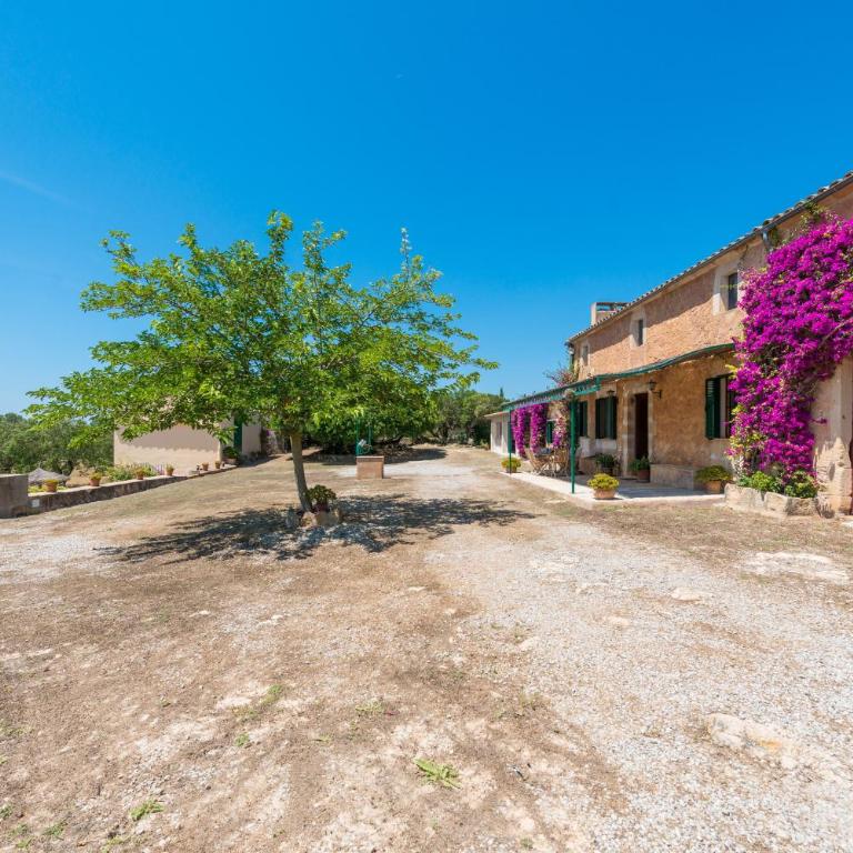 Sa Clota Nova - Casa de 3 dormitorios - 40