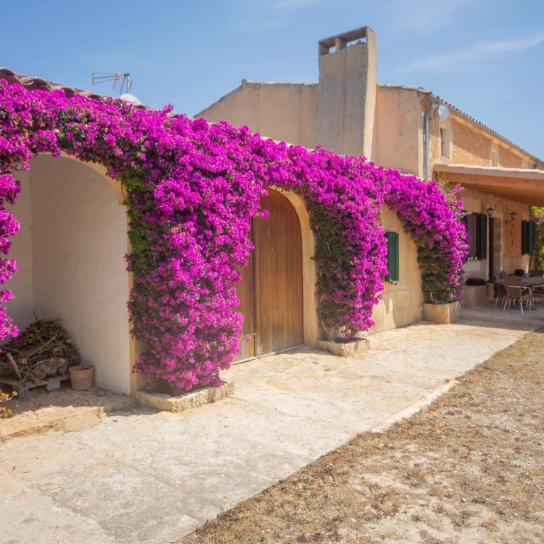 Sa Clota Nova - Casa de 3 dormitorios - 2