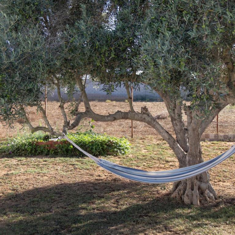 Casa Rural La Ferrera Chiclana - Apartamento Deluxe de 2 dormitorios con vistas al jardín - 29