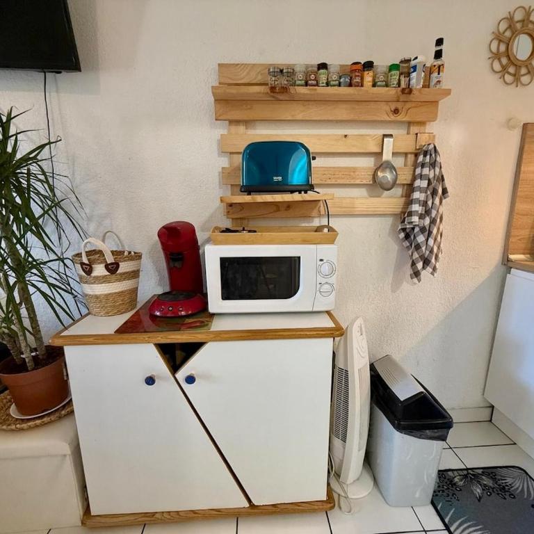 Maisonnette cosy dans les pins proche océan - Maison 1 Chambre - 10