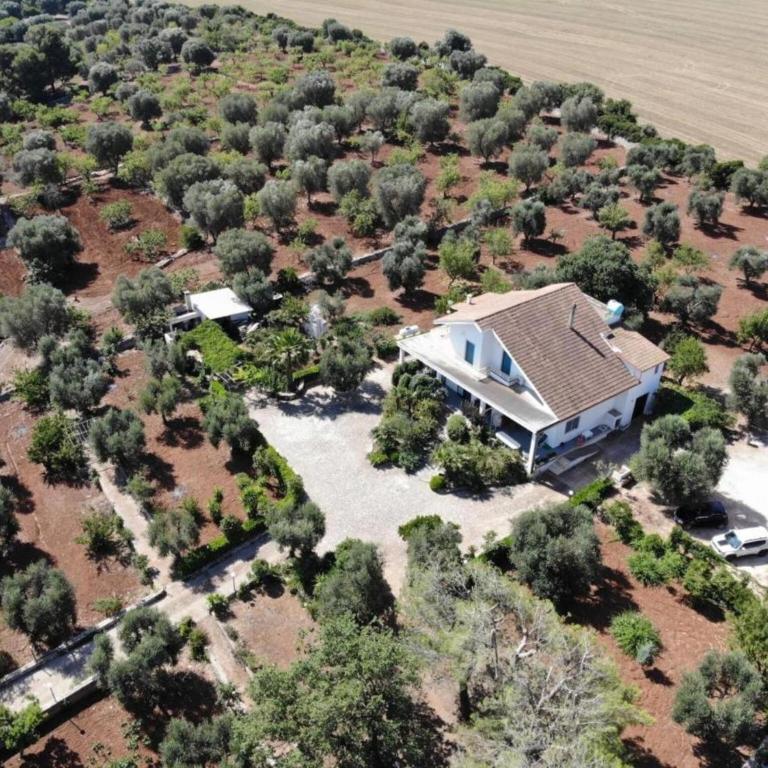 Villa Gianfreda - Villa con Vista Giardino - 35