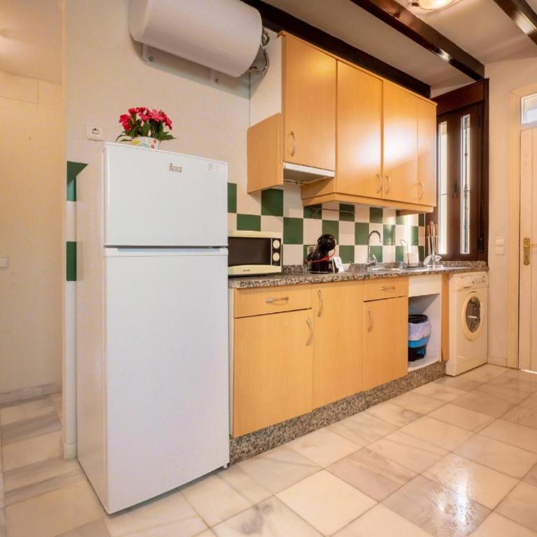 Precioso Apartamento En Triana - Superior Apartment with City View - 7