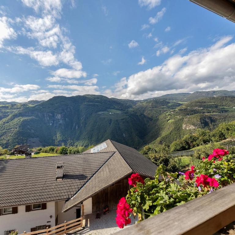 Obertrisaierhof Wohnung 4 - Appartamento Superior con 1 Camera da Letto e Balcone - 4