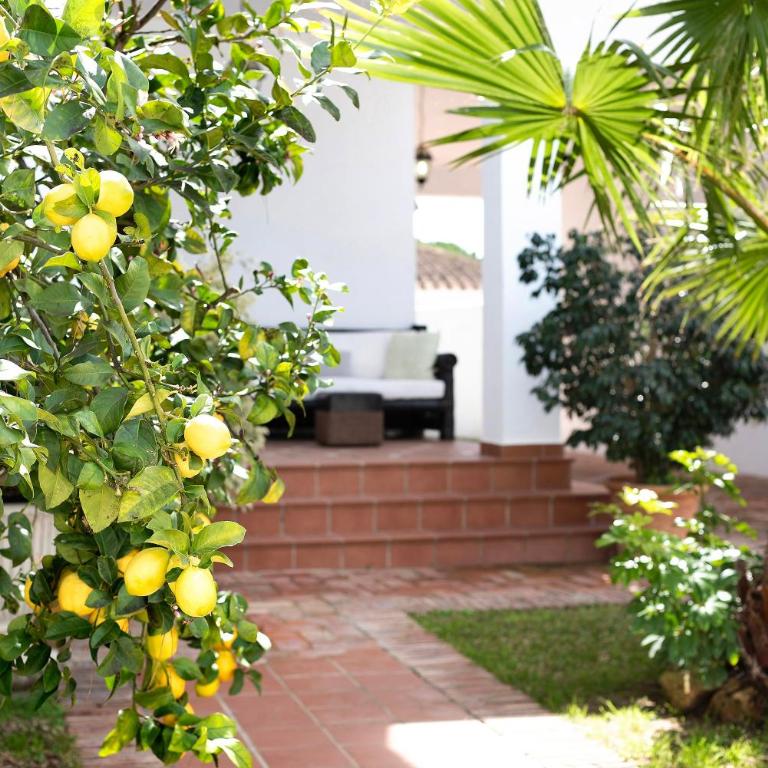 Villa Margaritas - Villa con vistas al jardín - 27