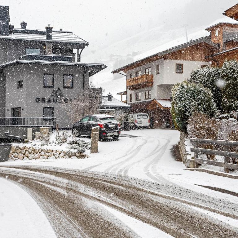 Grauzone Grossarl App Nr 1 Cozy - Apartment mit 2 Schlafzimmern und Bergblick - 27