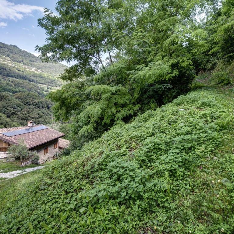 Casa al Mulino 1 - Two-Bedroom Deluxe Apartment with Garden View - 27