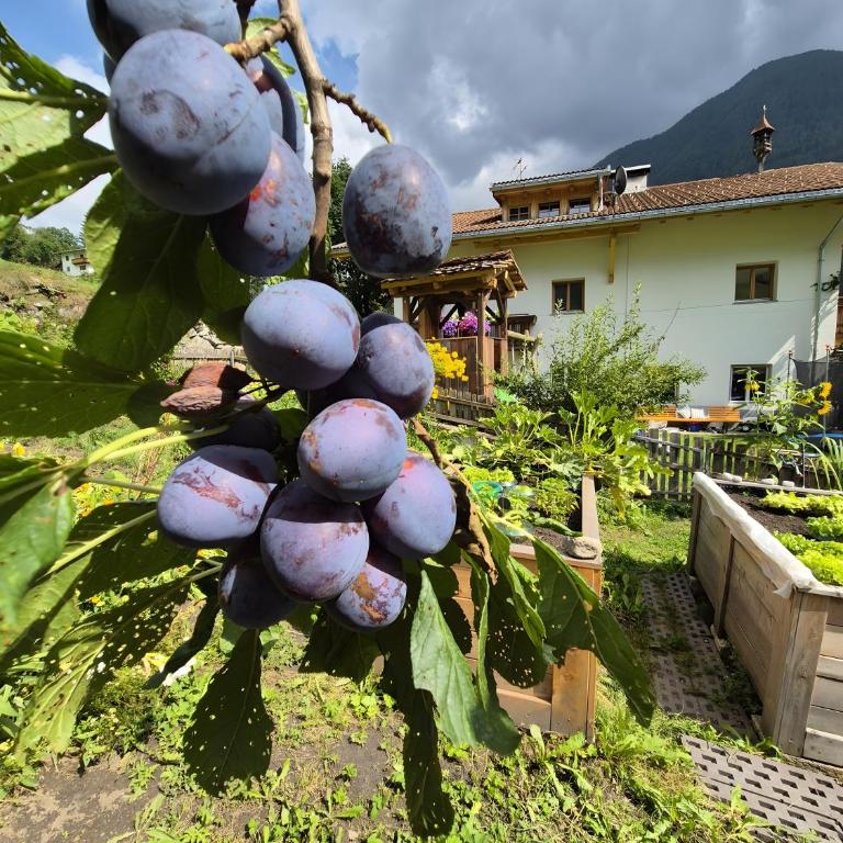 Seeberhof - Urlaub am Bauerhof - Apartamento Deluxe de 2 dormitorios con vistas al jardín - 25