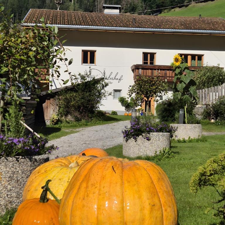 Seeberhof - Urlaub am Bauerhof - Apartamento Deluxe de 2 dormitorios con vistas al jardín - 24