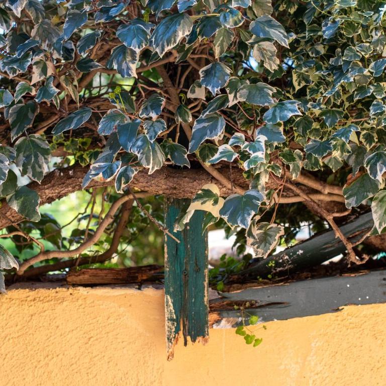 Antiche Dimore Del Vescovado - Appartamento con 1 Camera da Letto e Vista Giardino - 24