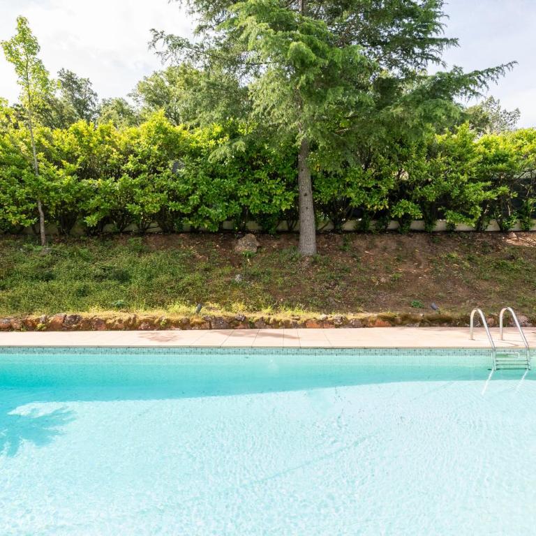 Studio - Adrets Esterel - piscine - Estudio con vistas al jardín - 17
