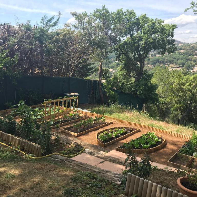 Studio - Adrets Esterel - piscine - Estudio con vistas al jardín - 26
