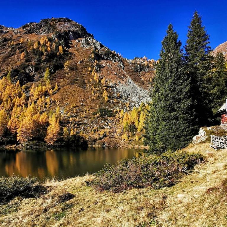 Alpenchalets Weissenbacher-Fuchsbau - Haus mit 2 Schlafzimmern - 42